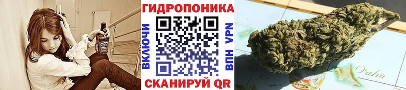 Шишки марихуана сатива  Верхний Уфалей 
